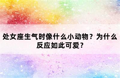 处女座生气时像什么小动物？为什么反应如此可爱？