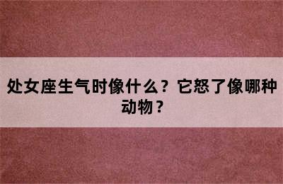 处女座生气时像什么？它怒了像哪种动物？