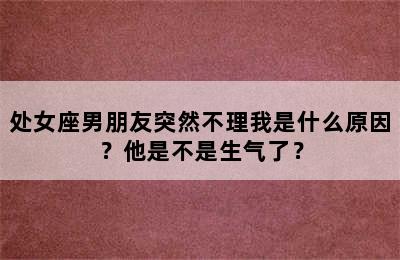 处女座男朋友突然不理我是什么原因？他是不是生气了？
