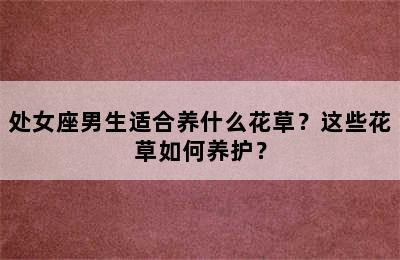 处女座男生适合养什么花草？这些花草如何养护？