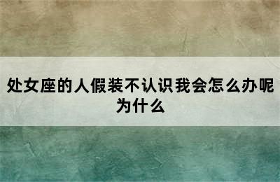 处女座的人假装不认识我会怎么办呢为什么