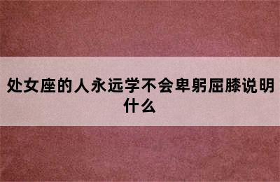 处女座的人永远学不会卑躬屈膝说明什么