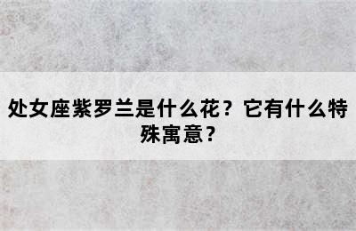 处女座紫罗兰是什么花？它有什么特殊寓意？