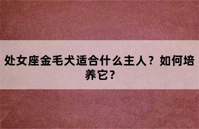 处女座金毛犬适合什么主人？如何培养它？
