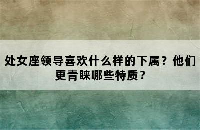 处女座领导喜欢什么样的下属？他们更青睐哪些特质？