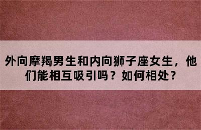 外向摩羯男生和内向狮子座女生，他们能相互吸引吗？如何相处？