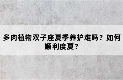 多肉植物双子座夏季养护难吗？如何顺利度夏？