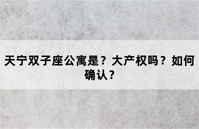 天宁双子座公寓是？大产权吗？如何确认？