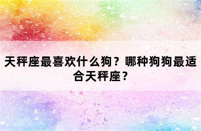 天秤座最喜欢什么狗？哪种狗狗最适合天秤座？