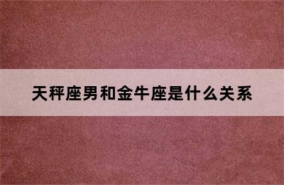 天秤座男和金牛座是什么关系