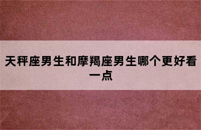 天秤座男生和摩羯座男生哪个更好看一点