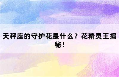天秤座的守护花是什么？花精灵王揭秘！