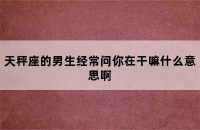 天秤座的男生经常问你在干嘛什么意思啊