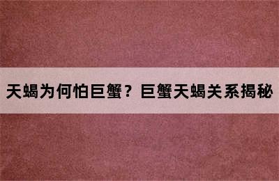 天蝎为何怕巨蟹？巨蟹天蝎关系揭秘