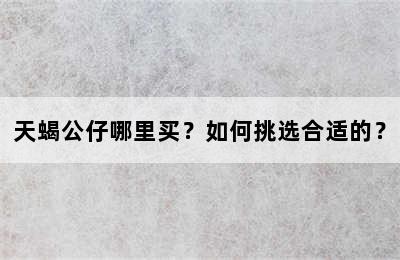 天蝎公仔哪里买？如何挑选合适的？
