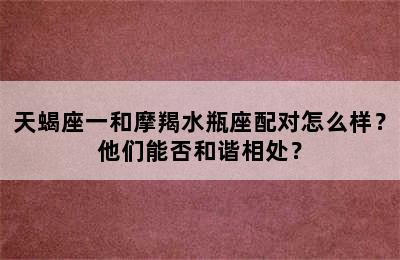 天蝎座一和摩羯水瓶座配对怎么样？他们能否和谐相处？