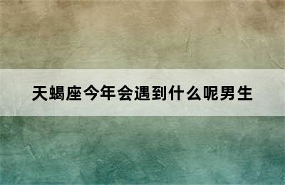 天蝎座今年会遇到什么呢男生