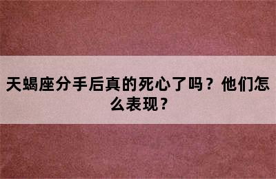 天蝎座分手后真的死心了吗？他们怎么表现？