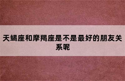 天蝎座和摩羯座是不是最好的朋友关系呢