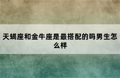 天蝎座和金牛座是最搭配的吗男生怎么样