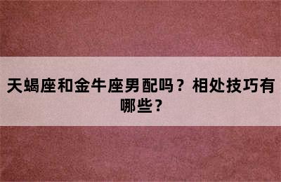 天蝎座和金牛座男配吗？相处技巧有哪些？
