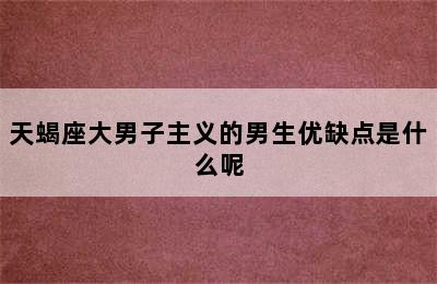 天蝎座大男子主义的男生优缺点是什么呢