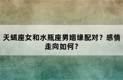 天蝎座女和水瓶座男姻缘配对？感情走向如何？
