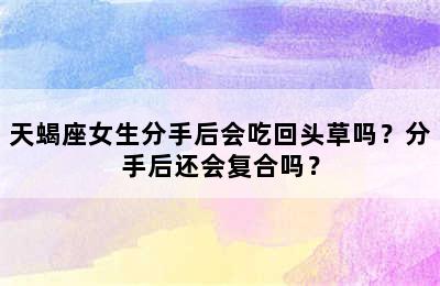 天蝎座女生分手后会吃回头草吗？分手后还会复合吗？