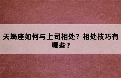 天蝎座如何与上司相处？相处技巧有哪些？