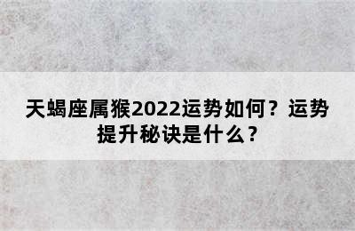 天蝎座属猴2022运势如何？运势提升秘诀是什么？