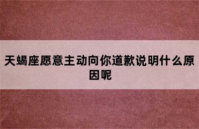 天蝎座愿意主动向你道歉说明什么原因呢