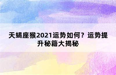 天蝎座猴2021运势如何？运势提升秘籍大揭秘