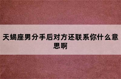 天蝎座男分手后对方还联系你什么意思啊