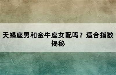 天蝎座男和金牛座女配吗？适合指数揭秘