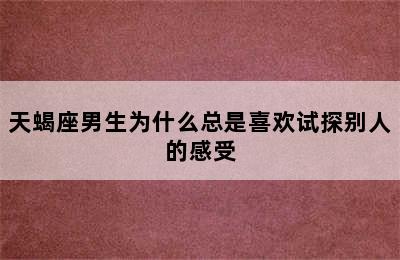 天蝎座男生为什么总是喜欢试探别人的感受