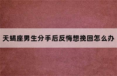 天蝎座男生分手后反悔想挽回怎么办