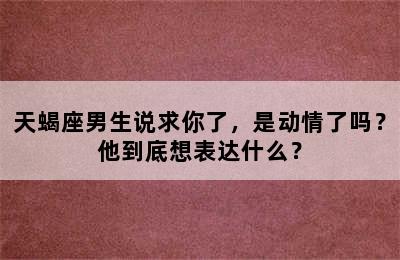 天蝎座男生说求你了，是动情了吗？他到底想表达什么？