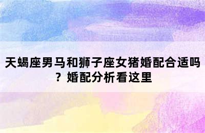 天蝎座男马和狮子座女猪婚配合适吗？婚配分析看这里