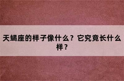 天蝎座的样子像什么？它究竟长什么样？