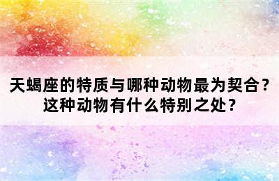 天蝎座的特质与哪种动物最为契合？这种动物有什么特别之处？