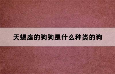 天蝎座的狗狗是什么种类的狗