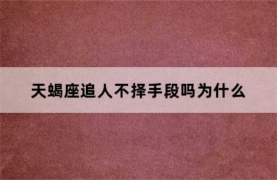 天蝎座追人不择手段吗为什么