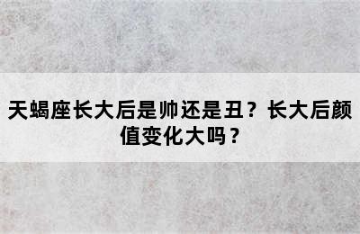 天蝎座长大后是帅还是丑？长大后颜值变化大吗？