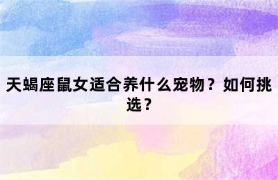 天蝎座鼠女适合养什么宠物？如何挑选？