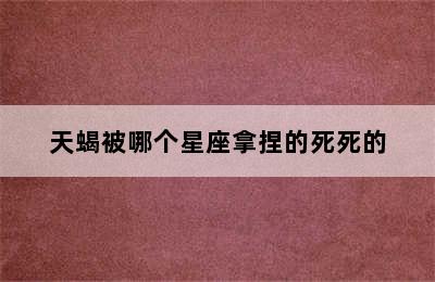 天蝎被哪个星座拿捏的死死的