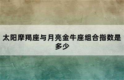 太阳摩羯座与月亮金牛座组合指数是多少