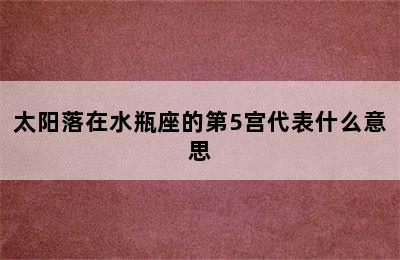 太阳落在水瓶座的第5宫代表什么意思