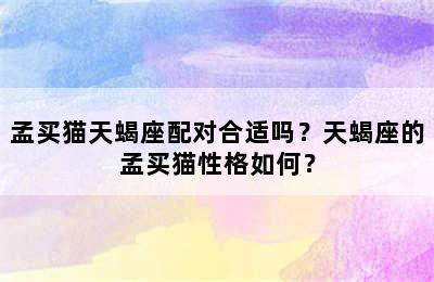 孟买猫天蝎座配对合适吗？天蝎座的孟买猫性格如何？
