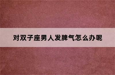 对双子座男人发脾气怎么办呢