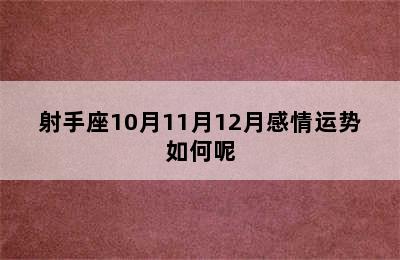 射手座10月11月12月感情运势如何呢